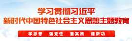 学习贯彻习近平新时代中国特色社会主义思想主题教育